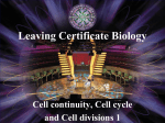 Cell Continuity 1