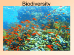 CH 4 Biodiversity