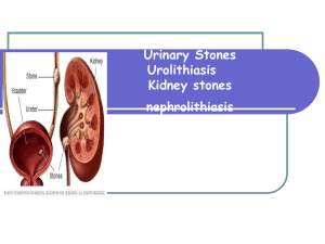 Constituents of Kidney Stones