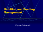 Nutrition and Feeding Management