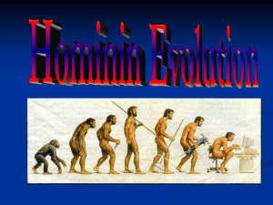 Ch. 15 Hominin Evolution