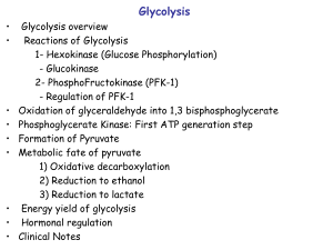 S08 Glycolysis