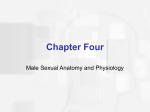 Chapter Four - public.iastate.edu