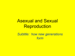 Asexual and Sexual Reproduction