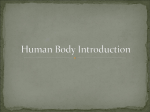 Human Body Introduction - Living Environment H: 8(A,C)