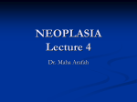 Neoplasia Lec4