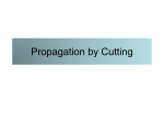 Propagation by Cutting