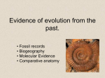 Evidence of evolution from the past.