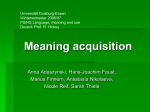 Meaning acquisition - an der Universität Duisburg