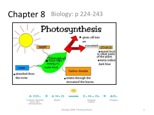 Chapter 8 Notes Photosynthesis