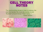 Details on Cell Theory/Spontaneous Generation/History