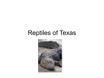 Reptiles of Texas - Clements Agriculture