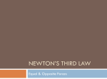 Newton`s third Law