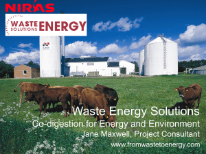 Jane Maxwell, Projects Coordinator, Waste Energy Solutions