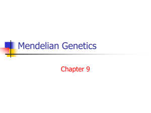 2MendelianGenetics