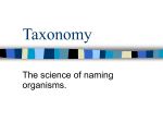 Taxonomy