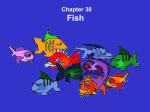 Chapter 30 Fish - cloudfront.net