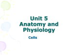 Unit 5 Anatomy and Physiology Cells