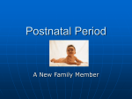 Postnatal Period - hrsbstaff.ednet.ns.ca