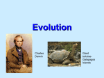 Darwin and Evolution