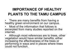 IMPORTANCE OF HEALTHY PLANTS TO THE