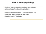 Why study brain-behavior relations?