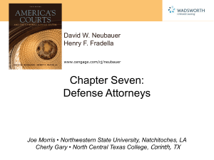 America`s Courts and the Criminal Justice System by David Neubauer