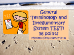 General Terminology and Integumentary System TEST! 60 points