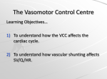 The Vasomotor Control Centre