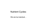 Nutrient Cycles - Net Start Class