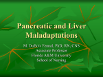 Pancreatic and Liver Maladaptations