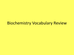 Biochemistry Vocabulary Review