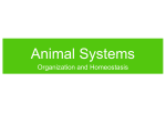 Ch31-AnimalSystems