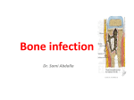 Bone infection lecture oct 2013