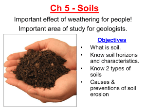 Ch. 5 - Soils