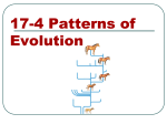 Adaptive radiation