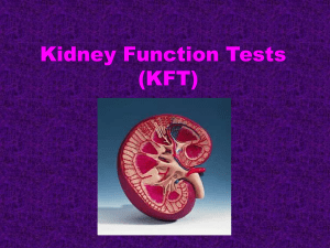 Kidney functions
