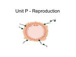 Unit – P Reproduction - Mr. Schmitt