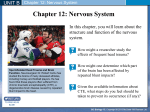 Notes: Nervous System PPT 1