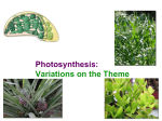 03CAM 2011 - AP Bio Take 5