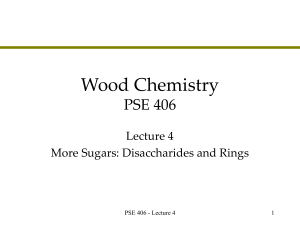 Lecture 4 - Sugars, ring structures