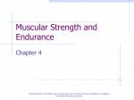 Muscular Strength and Endurance