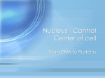 Nucleus - Control Center of cell
