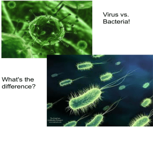 Virus Vs. Bacteria!