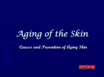 Aging of the Skin