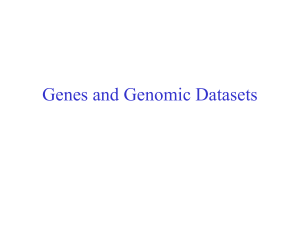 Base composition of genomes