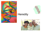 Heredity - Appoquinimink High School