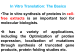 In_Vitro_Translation