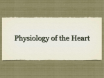 Heart Physiology - Kleins