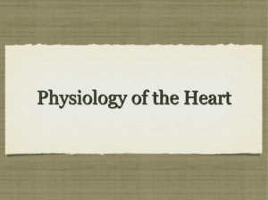 Heart Physiology - Kleins